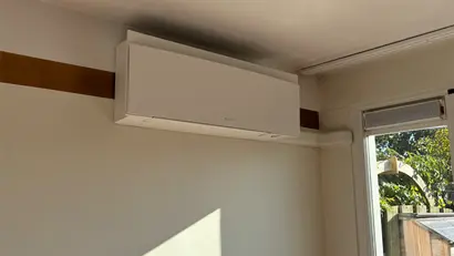 DAIKIN emura.jpg
